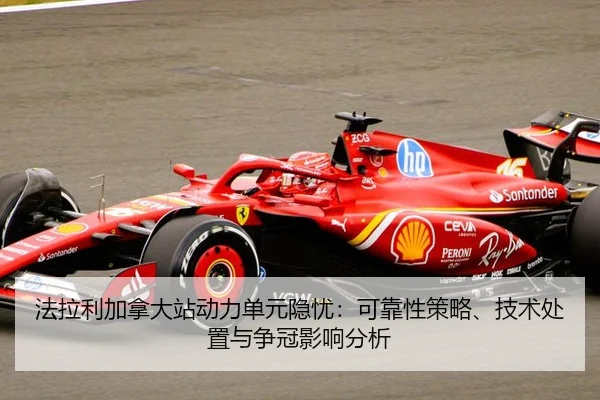 fa-la-li-jia-na-da-zhan-dong-li-dan-yuan-yin-you-ke-kao-xing-ce-lve-ji-shu-chu-zhi-yu-zheng-guan-ying-xiang-fen-xi-2-652.jpg